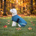 New Winter Dog Coat - 180G Medium Weight - Waterproof & Breathable — H-Harbor — main image — 2SCR-MD-H