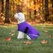 New Winter Dog Coat - 180G Medium Weight - Waterproof & Breathable — P-Purple — main image — 2SCR-MD-P