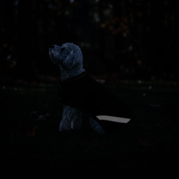 New Winter Dog Coat - 180G Medium Weight - Waterproof & Breathable — B-Navy — feature overview — 2SCR-MD-B