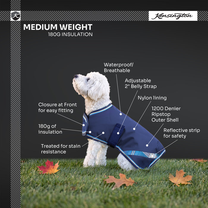 New Winter Dog Coat - 180G Medium Weight - Waterproof & Breathable — B-Navy — infographic — 2SCR-MD-B