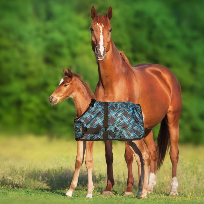 1200Denier Adjustable Foal "180G" Medium Weight Waterproof & Breathable Winter Turnout