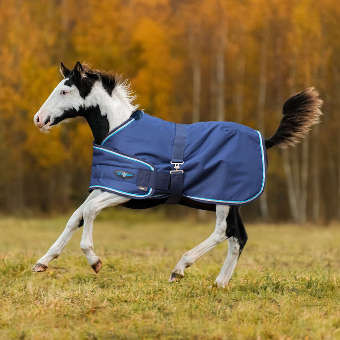 1200Denier Adjustable Foal "180G" Medium Weight Waterproof & Breathable Winter Turnout