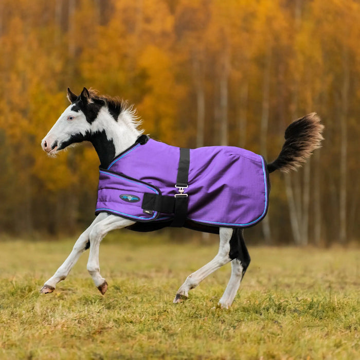 1200D Adjustable Foal 180G Medium Weight Winter Turnout Blanket - Waterproof & Breathable Kensington Protective Products