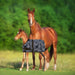 1200D Adjustable Foal 180G Medium Weight Winter Turnout Blanket - Waterproof & Breathable Kensington Protective Products