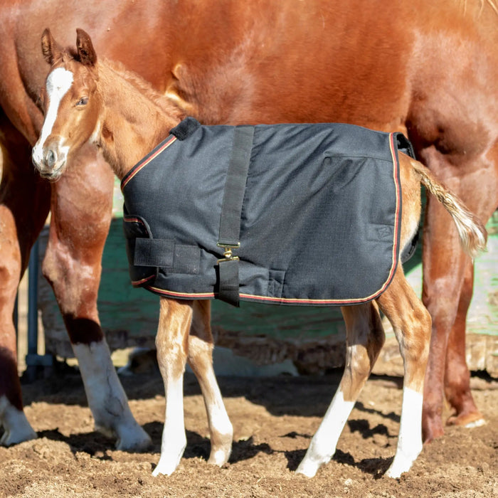 1200D Adjustable Foal 180G Medium Weight Winter Turnout Blanket - Waterproof & Breathable Kensington Protective Products