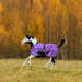1200D Adjustable Foal 180G Medium Weight Winter Turnout Blanket - Waterproof & Breathable Kensington Protective Products