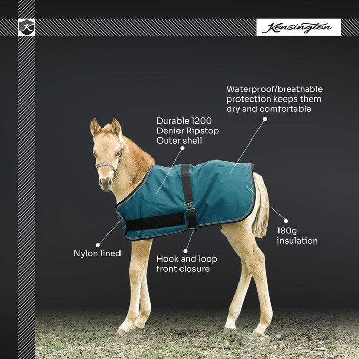 1200D Adjustable Foal 180G Medium Weight Winter Turnout Blanket - Waterproof & Breathable Kensington Protective Products