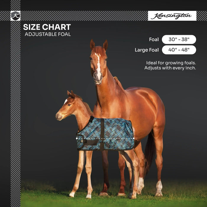 1200D Adjustable Foal 180G Medium Weight Winter Turnout Blanket - Waterproof & Breathable Kensington Protective Products