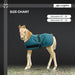 1200D Adjustable Foal 180G Medium Weight Winter Turnout Blanket - Waterproof & Breathable Kensington Protective Products