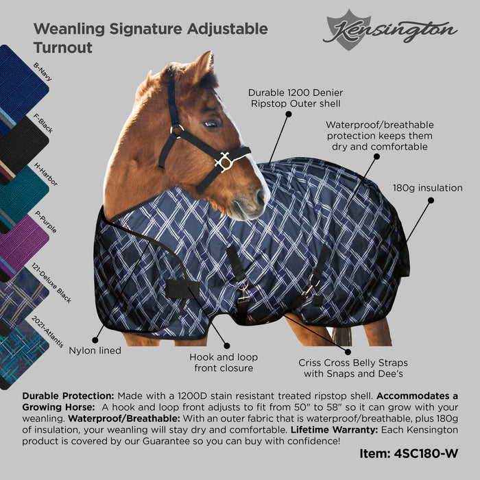 1200Denier Adjustable Weanling "180G" Medium Weight Waterproof & Breathable Winter Turnout