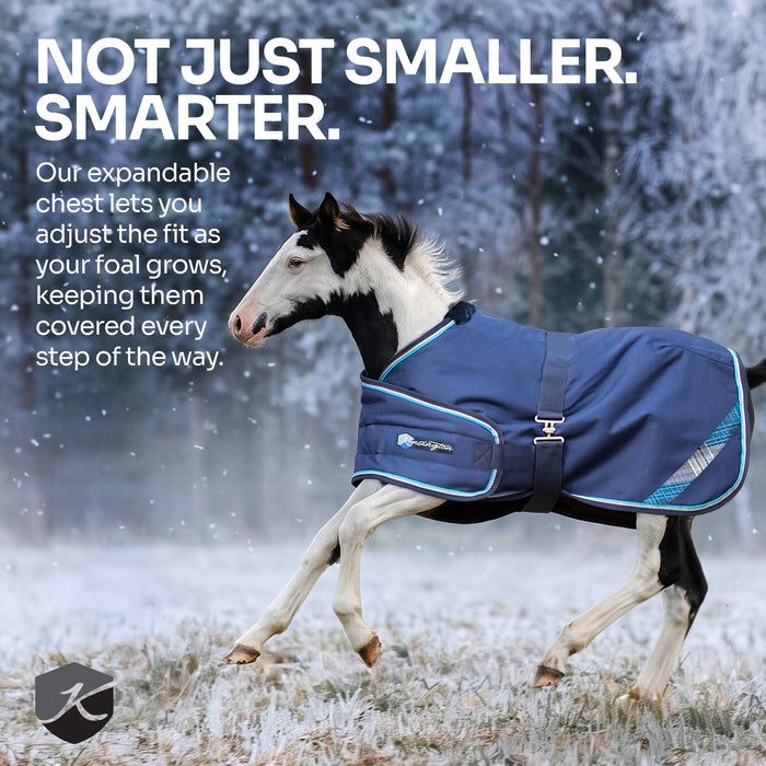 New 1200D Adjustable Foal 180G Medium Weight Winter Turnout Blanket - Waterproof & Breathable — B - Navy — callout 1 — 4SCR180-F-B