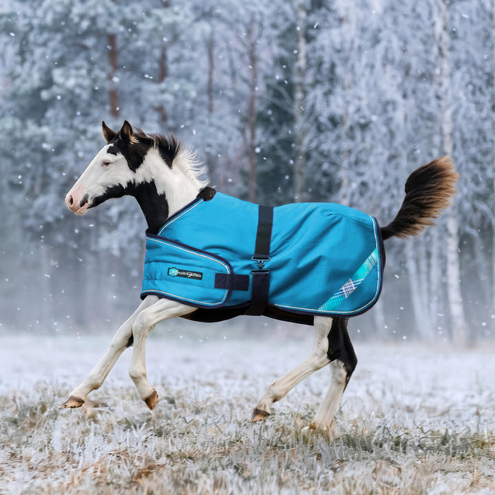 New 1200D Adjustable Foal 180G Medium Weight Winter Turnout Blanket - Waterproof & Breathable