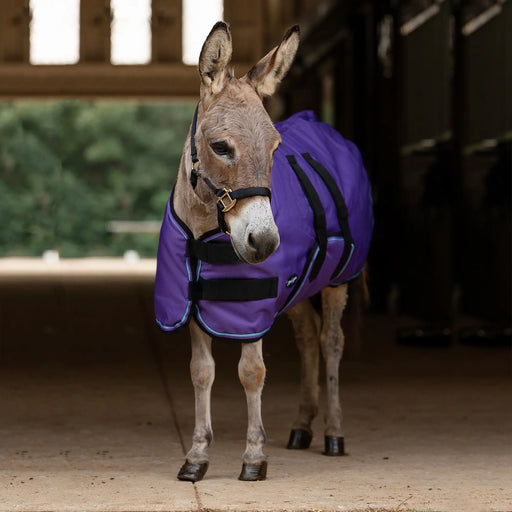 1200D Mini Donkey 80G Light Weight Winter Turnout Blanket - Waterproof & Breathable Kensington Protective Products