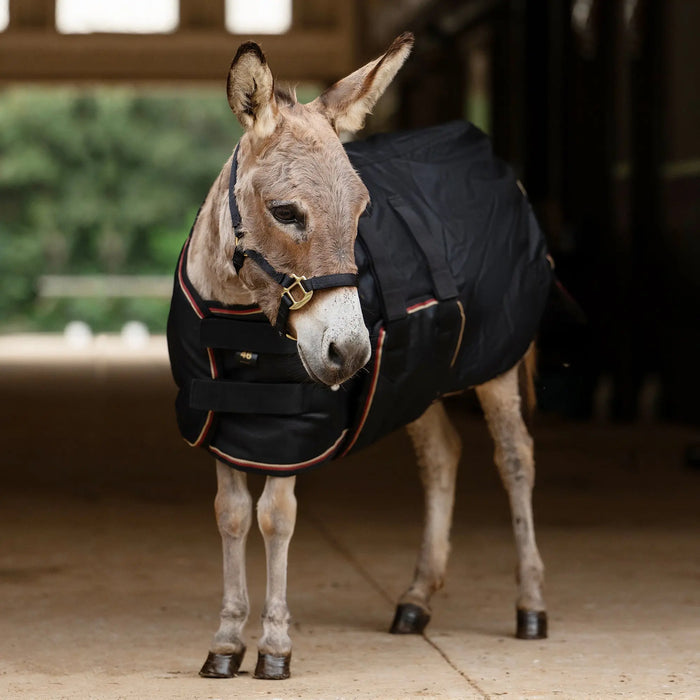 1200D Mini Donkey 180G Medium Weight Winter Turnout Blanket - Waterproof & Breathable Kensington Protective Products