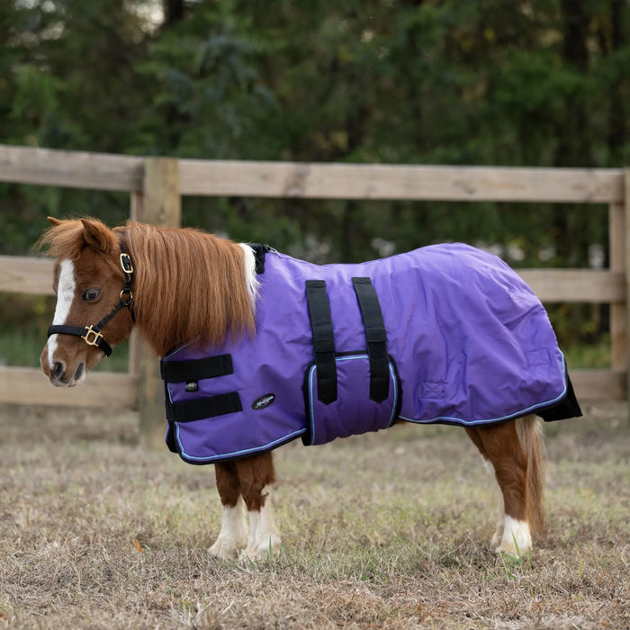 Mini 80G Light Weight Horse Winter Turnout Blanket - Waterproof & Breathable Kensington Protective Products