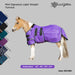 mini winter turnout blanket