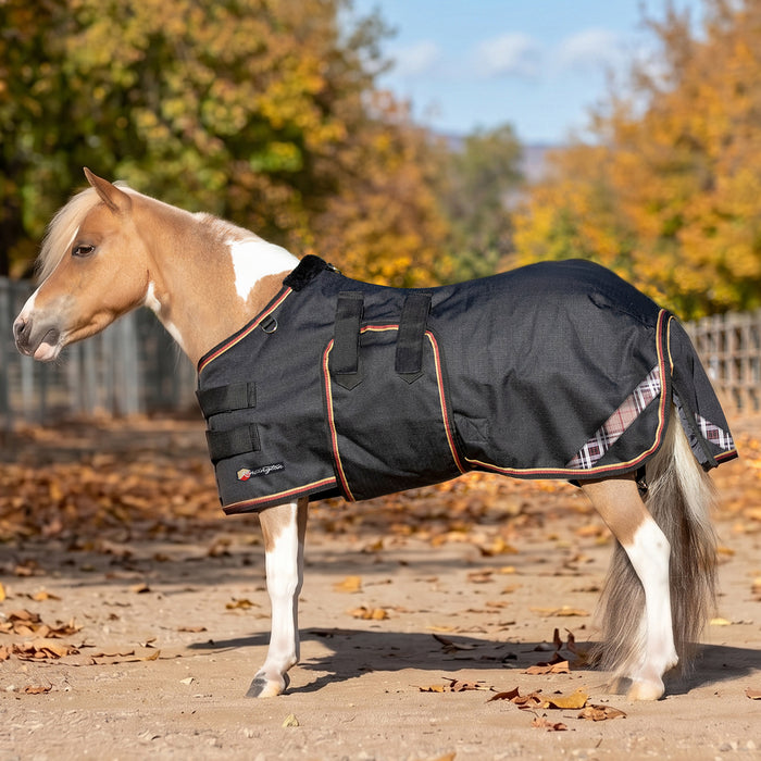 New Mini 80G Light Weight Horse Winter Turnout Blanket - Waterproof & Breathable — F - Black — main image — 5SCR080-42-F