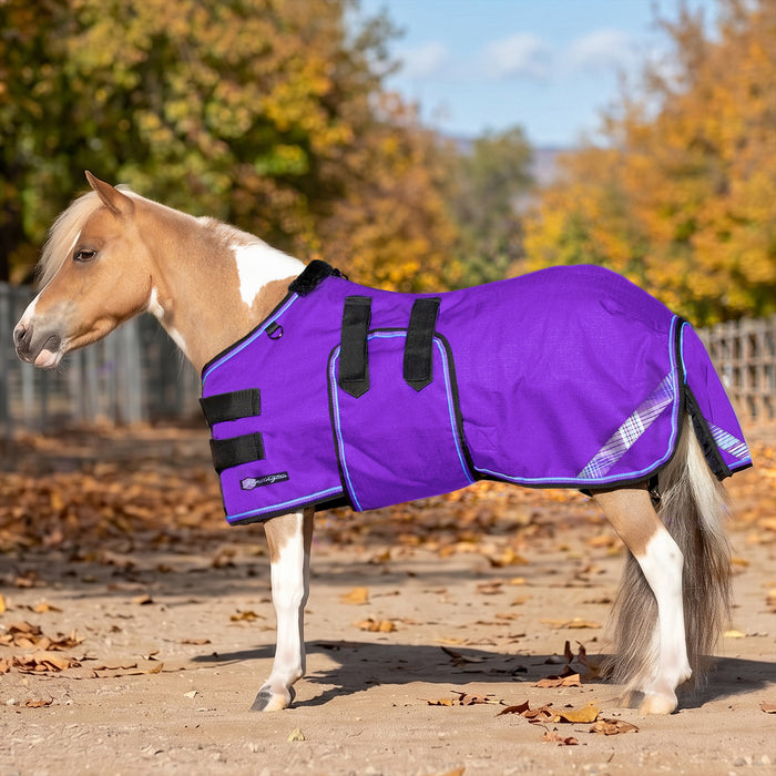 New Mini 80G Light Weight Horse Winter Turnout Blanket - Waterproof & Breathable — P - Purple — main image — 5SCR080-42-P