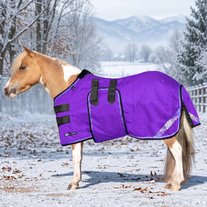 New Mini 180G Medium Weight Horse Winter Turnout Blanket - Waterproof & Breathable — P - Purple — main image — 5SCR180-42-P