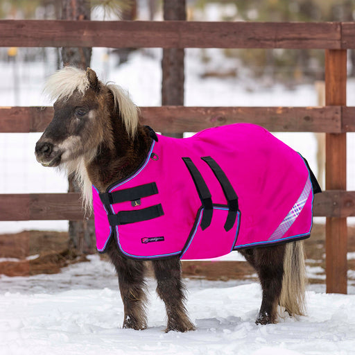 New Mini 300G Heavy Weight Horse Winter Turnout Blanket - Waterproof & Breathable — EB - Electric Berry — main image — 5SCR300-42-EB