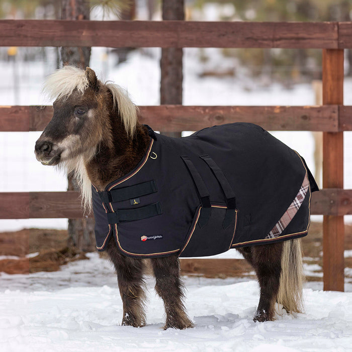 New Mini 300G Heavy Weight Horse Winter Turnout Blanket - Waterproof & Breathable — F - Black — main image — 5SCR300-42-F