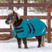 New Mini 300G Heavy Weight Horse Winter Turnout Blanket - Waterproof & Breathable — H - Harbor — main image — 5SCR300-42-H