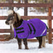 New Mini 300G Heavy Weight Horse Winter Turnout Blanket - Waterproof & Breathable — P - Purple — main image — 5SCR300-42-P