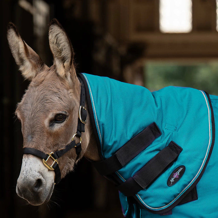 Mini Donkey 180G Medium Weight Winter Neck Warmer - Waterproof & Breathable Kensington Protective Products