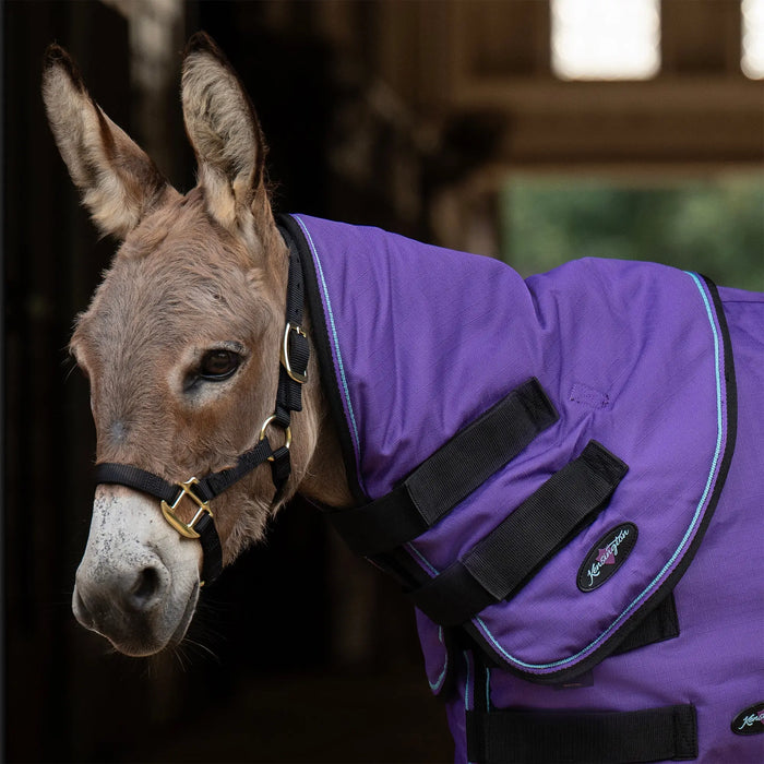 Mini Donkey 180G Medium Weight Winter Neck Warmer - Waterproof & Breathable Kensington Protective Products