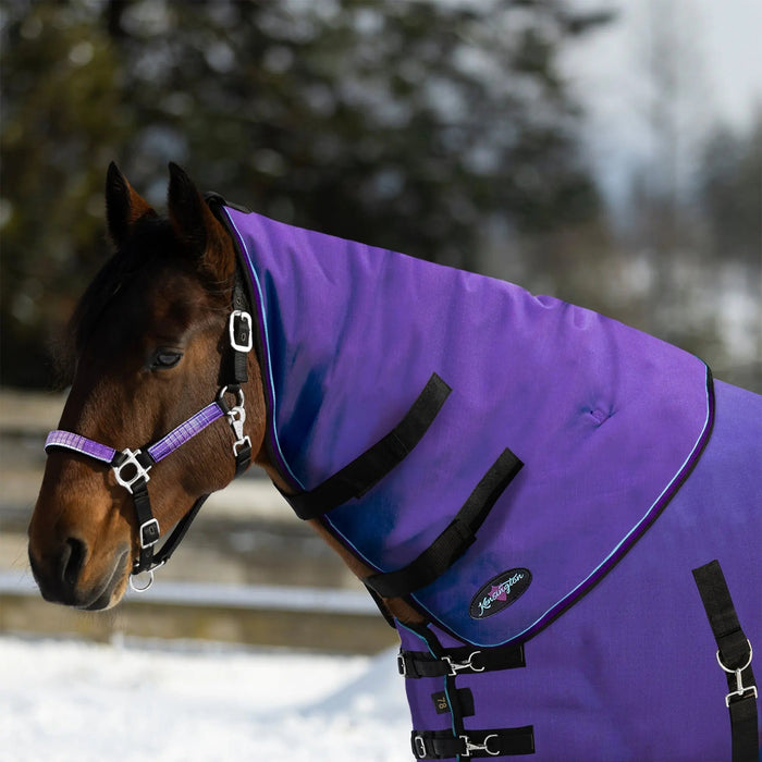 1200D Horse 180G Medium Weight Winter Neck Warmer - Waterproof & Breathable Kensington Protective Products