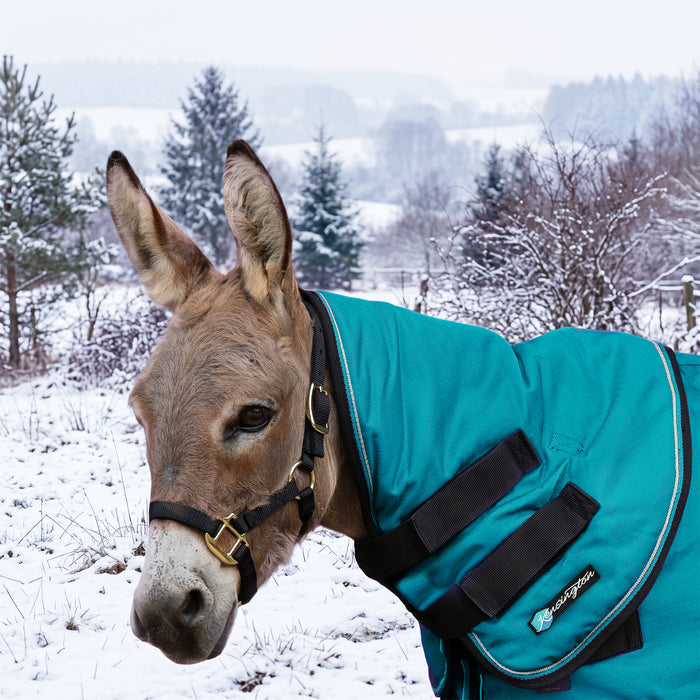 New Mini Donkey 180G Medium Weight Winter Neck Warmer - Waterproof & Breathable