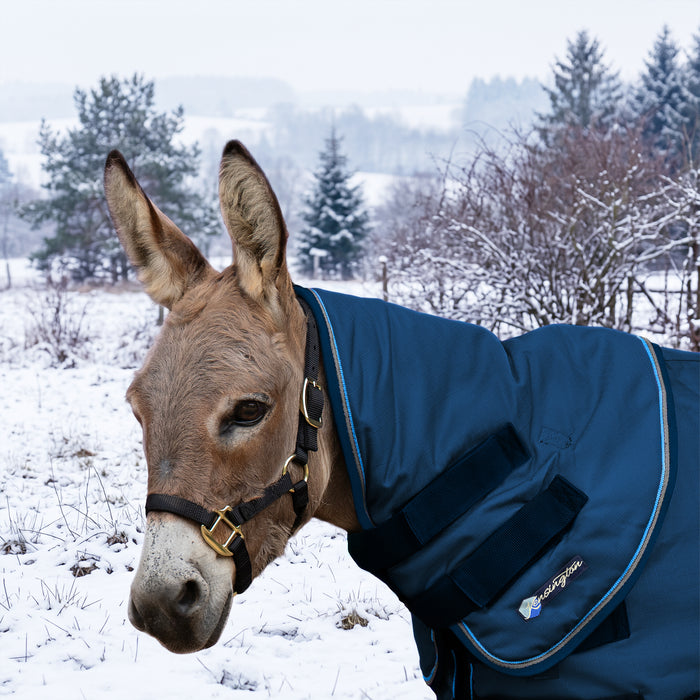 New Mini Donkey 180G Medium Weight Winter Neck Warmer - Waterproof & Breathable