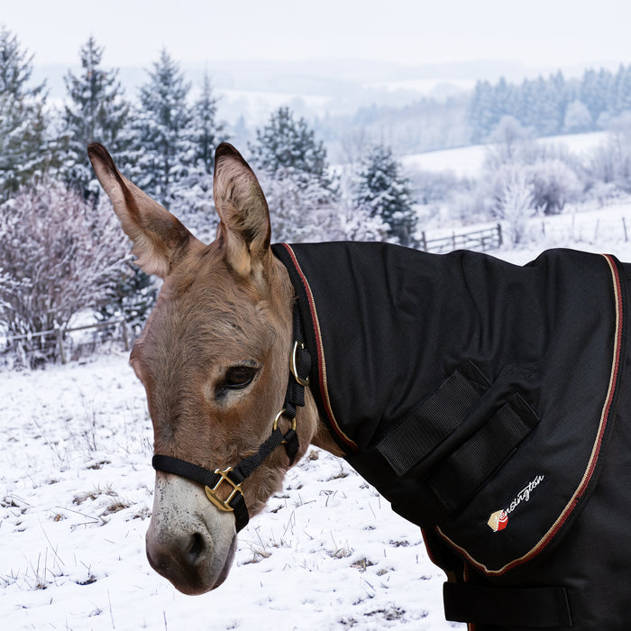 New Mini Donkey 180G Medium Weight Winter Neck Warmer - Waterproof & Breathable