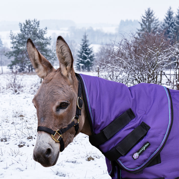 New Mini Donkey 180G Medium Weight Winter Neck Warmer - Waterproof & Breathable