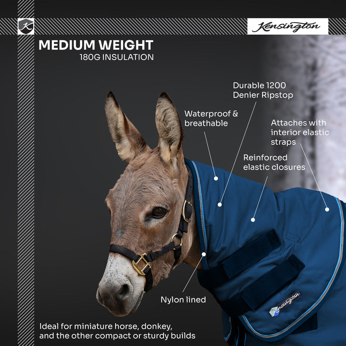 New Mini Donkey 180G Medium Weight Winter Neck Warmer - Waterproof & Breathable