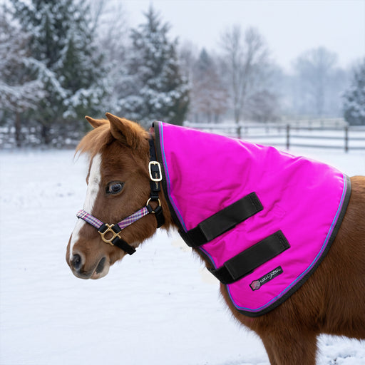 New Mini Donkey 180G Medium Weight Winter Neck Warmer - Waterproof & Breathable — EB-Electric Berry — main image — 6SCR180-MINI-EB