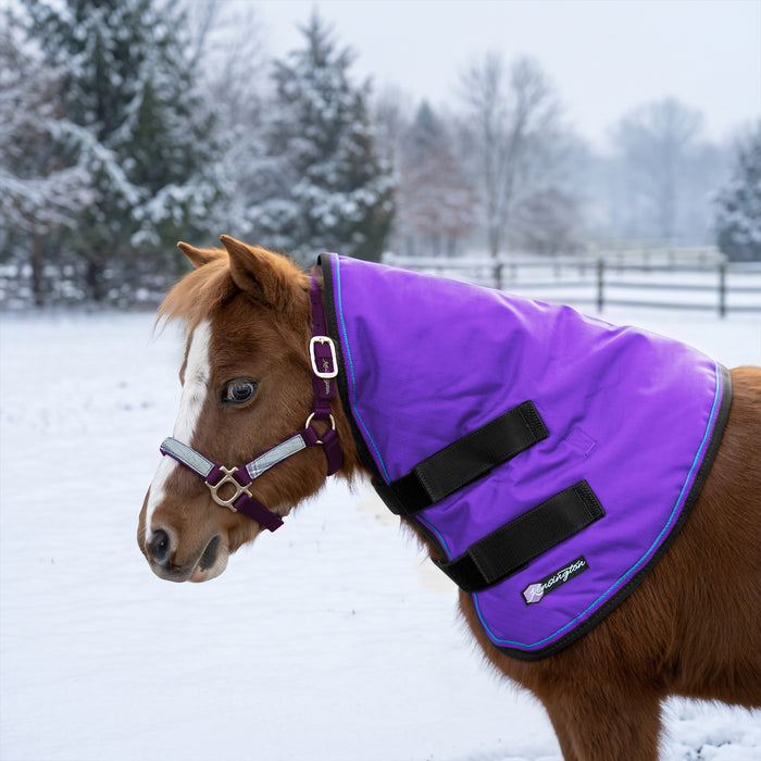 New Mini 180G Medium Weight Winter Neck Warmer - Waterproof & Breathable — P-Purple — main image — 6SCR180-MINI-P