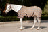 73% UV Horse Protective Fly Sheet SureFit® Designed for an ideal Fit