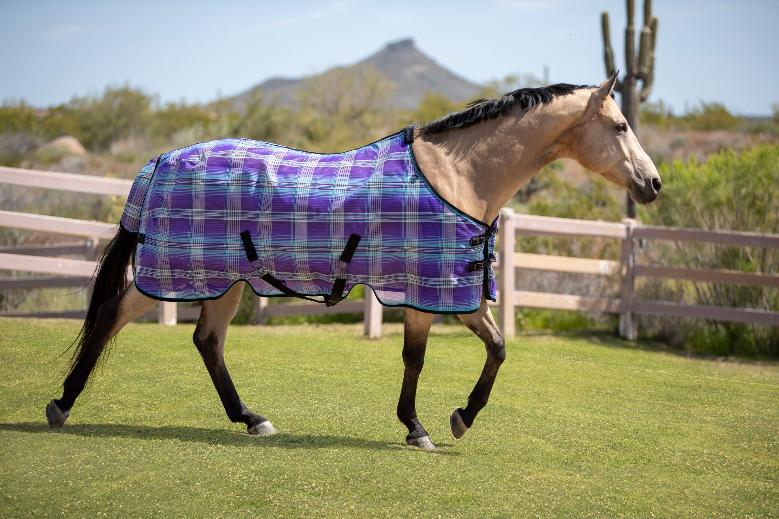 Kensington Protective Products Horse Accessories, Equine Protection