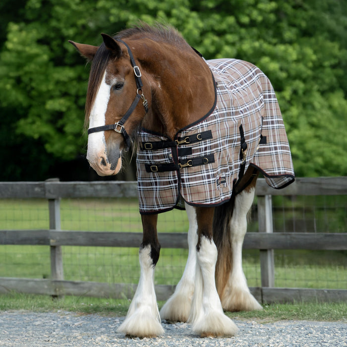Draft Horse Protective Fly Sheet  - 73% UV Protection