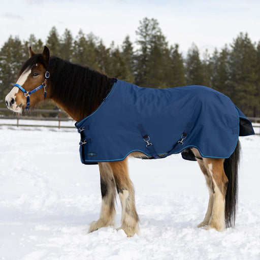draft turnout winter blanket