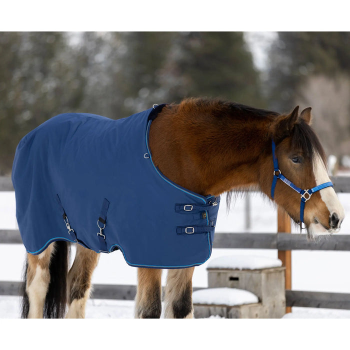 draft turnout winter blanket