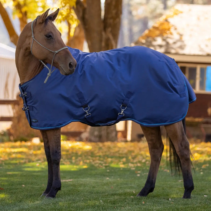 Bundle: Heavyweight 300g Winter Horse Turnout Blanket & Blanket Storage Bag Kensington Protective Products
