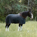 1200D Midweight 180g Draft Horse Winter Turnout Blanket - Waterproof & Breathable Kensington Protective Products