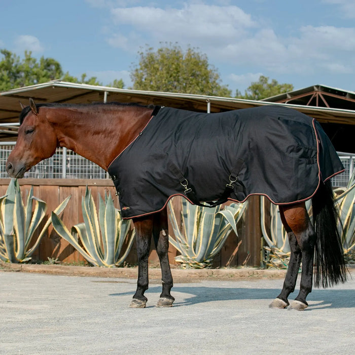Bundle: Lightweight 80g Winter Horse Turnout Blanket & Blanket Storage Bag Kensington Protective Products