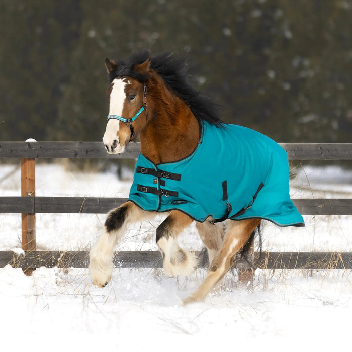1200D Midweight 180g Horse Winter Turnout Blanket - Waterproof & Breathable Kensington Protective Products