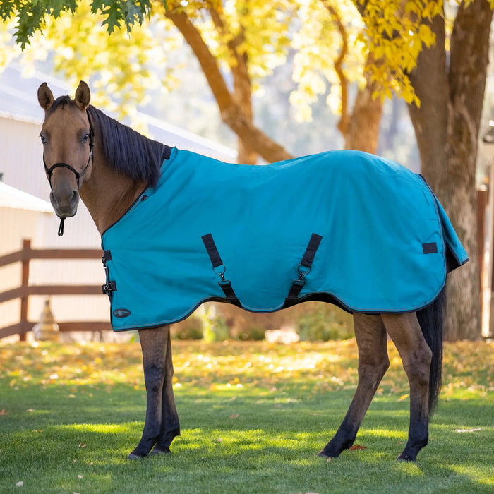 1200D Lightweight 80g Horse Winter Turnout Blanket - Waterproof & Breathable Kensington Protective Products