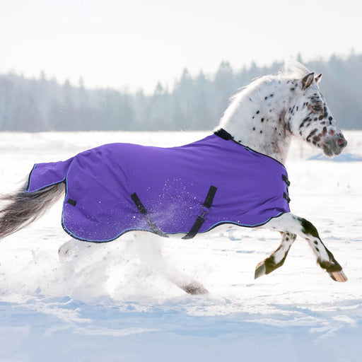 pony winter turnout blanket