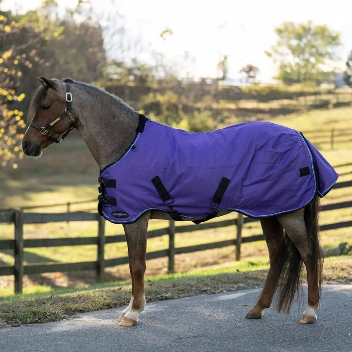 Pony Heavyweight 300g Horse Winter Turnout Blanket - Waterproof & Breathable Kensington Protective Products