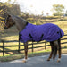Pony Heavyweight 300g Horse Winter Turnout Blanket - Waterproof & Breathable Kensington Protective Products